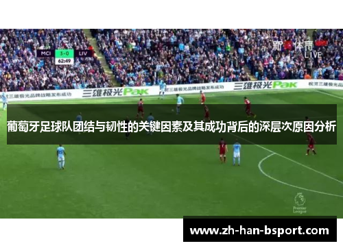 葡萄牙足球队团结与韧性的关键因素及其成功背后的深层次原因分析