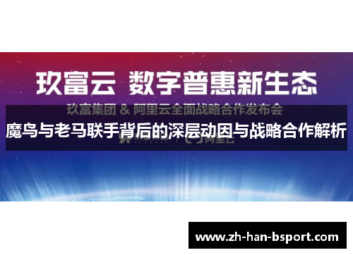 魔鸟与老马联手背后的深层动因与战略合作解析